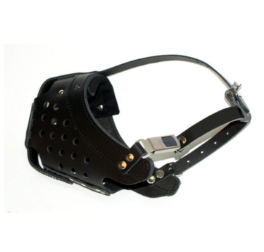 BULLVISION Training Muzzle